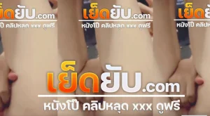 คลิปหลุด เจ้าแมวส้ม